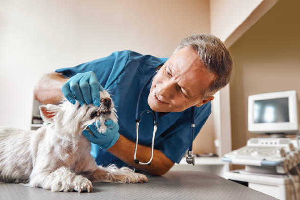 Best Pediatric Emergency Dentist in Moorhead, MS